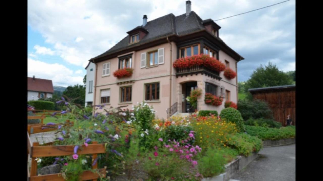 Au Chant De La Riviere Stosswihr ภายนอก รูปภาพ
